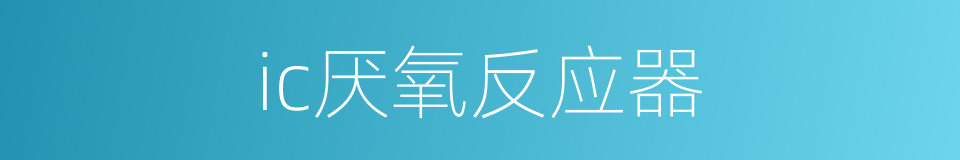 ic厌氧反应器的同义词