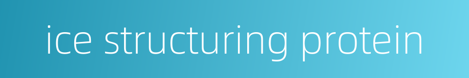 ice structuring protein的同义词