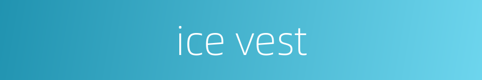 ice vest的同义词