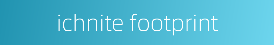 ichnite footprint的同义词