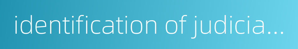 identification of judicial accounting的同义词