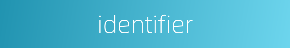 identifier的同义词