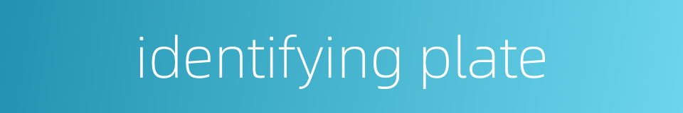 identifying plate的同义词