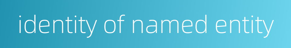 identity of named entity的同义词