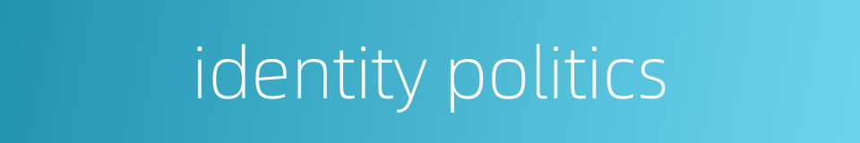 identity politics的同义词