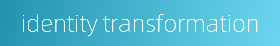 identity transformation的同义词