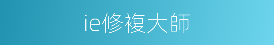 ie修複大師的同義詞