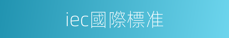 iec國際標准的同義詞