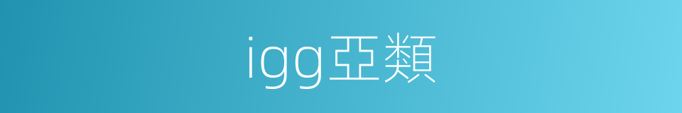 igg亞類的同義詞