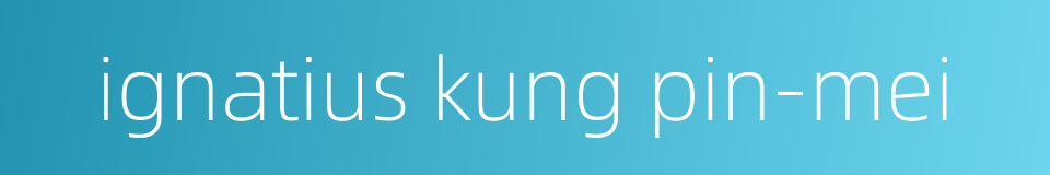 ignatius kung pin-mei的同义词