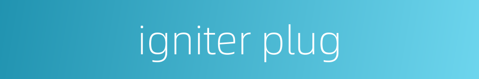 igniter plug的同义词