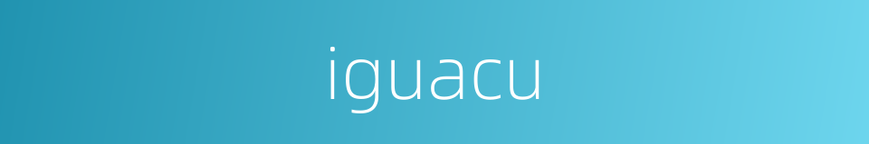 iguacu的同义词