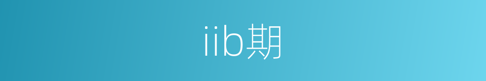 iib期的同义词