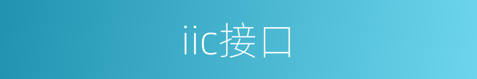 iic接口的同义词