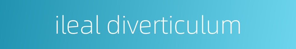 ileal diverticulum的同义词