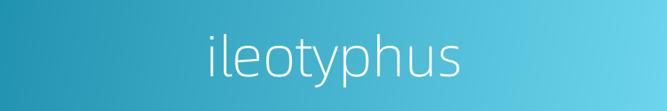 ileotyphus的同义词