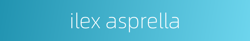 ilex asprella的同义词