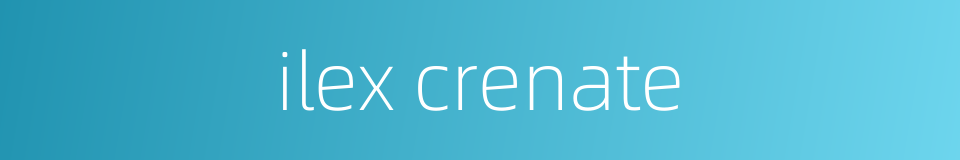 ilex crenate的同义词