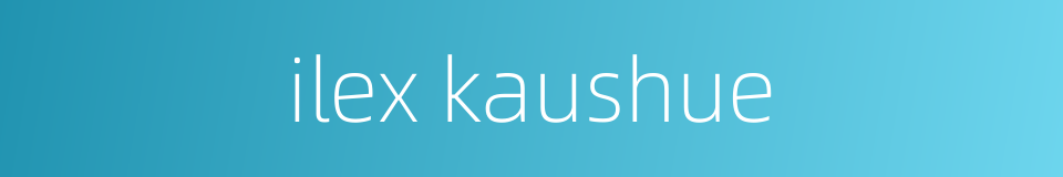 ilex kaushue的同义词