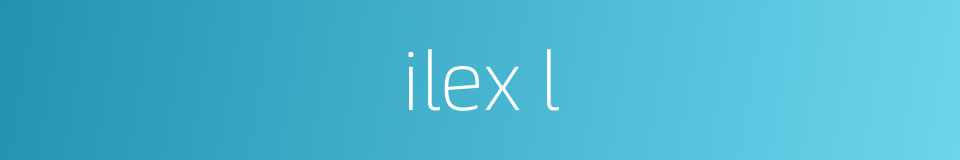ilex l的同义词
