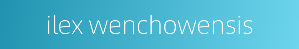 ilex wenchowensis的同义词