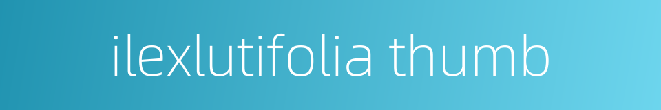 ilexlutifolia thumb的同义词