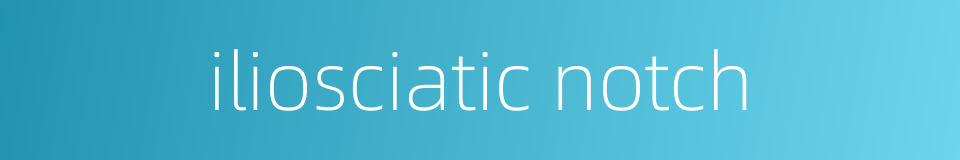 iliosciatic notch的同义词