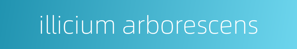 illicium arborescens的同义词