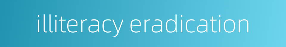 illiteracy eradication的同义词