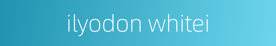 ilyodon whitei的同义词