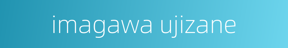 imagawa ujizane的同义词