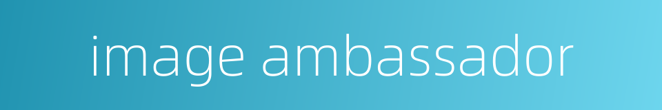 image ambassador的同义词