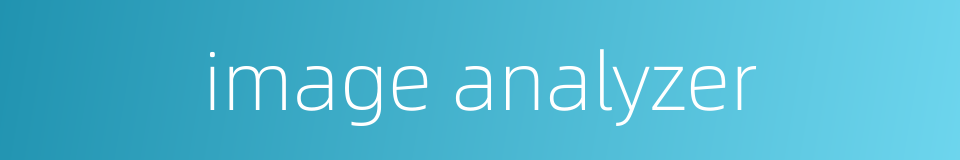 image analyzer的同义词