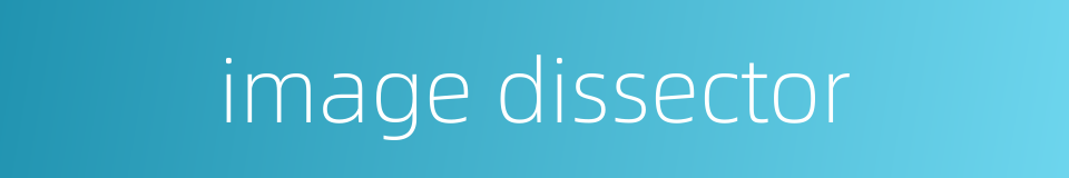image dissector的同义词