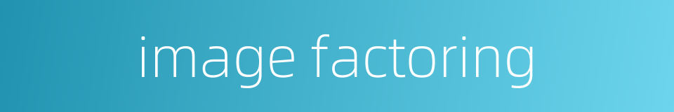 image factoring的同义词