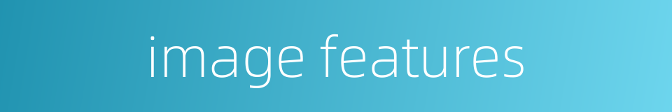 image features的同义词