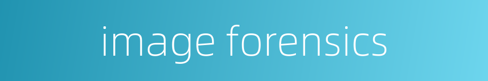 image forensics的同义词