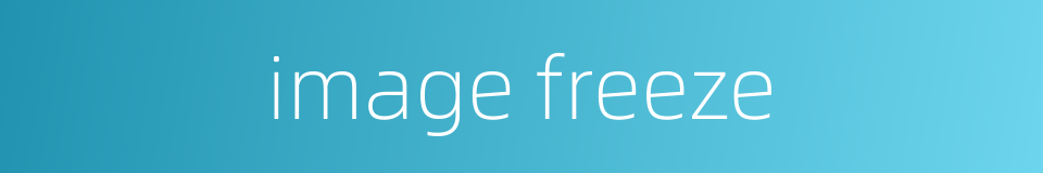 image freeze的同义词