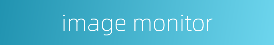 image monitor的同义词