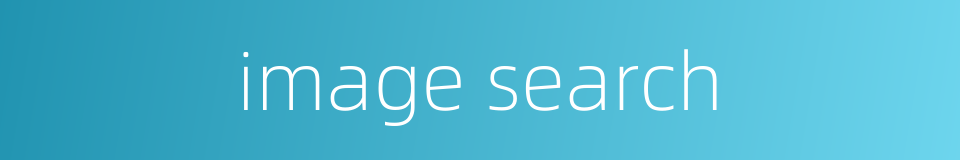 image search的同义词