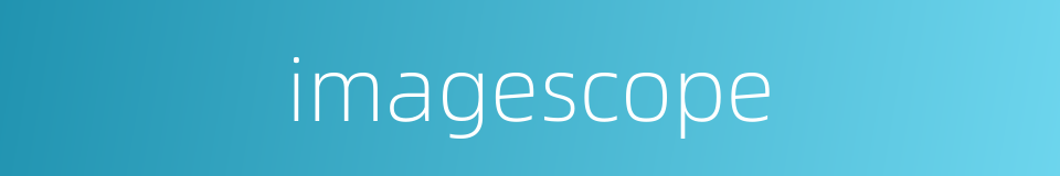 imagescope的同义词