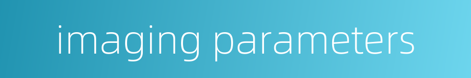 imaging parameters的同义词
