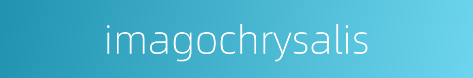 imagochrysalis的同义词