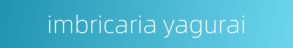 imbricaria yagurai的同义词