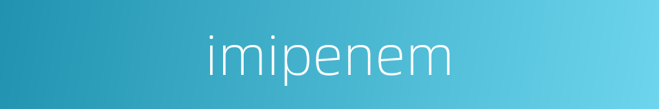 imipenem的同义词