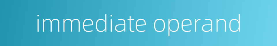 immediate operand的同义词