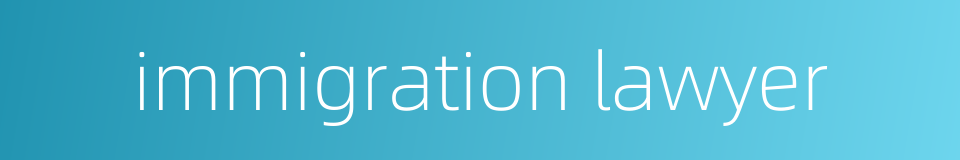 immigration lawyer的同义词