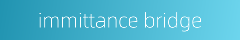 immittance bridge的同义词