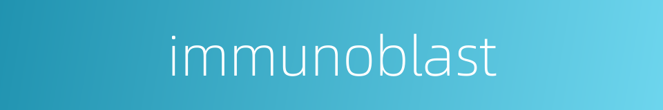 immunoblast的同义词