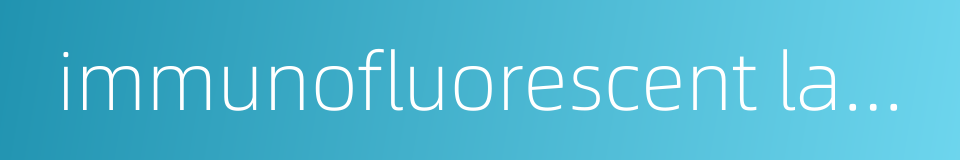 immunofluorescent labeling的同义词